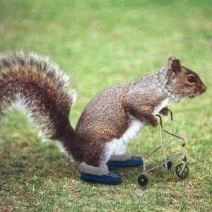 Meet your Posher, Dawn michele